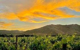 Bruma Wine Resort